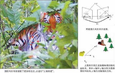 国防科大“测虎”结果显示“周老虎”是平面虎